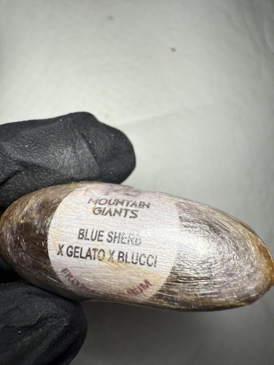 Mountain Giants Hash Eggs Blue Sherb x Gelato x Blucci