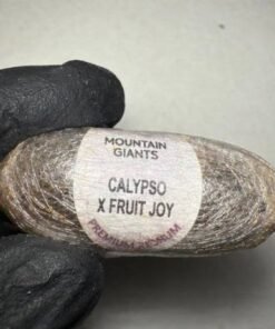 Mountain giants Hash Eggs Calypso x Fruit Joy