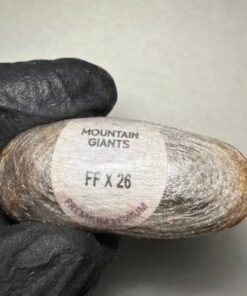 Mountain Giants Frozen Premium Hash Eggs FF x 26