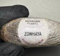 mountain giants hash eggs Zowhaya
