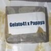 Mountain Giants Filtered Hash Gelato#41 x Papaya